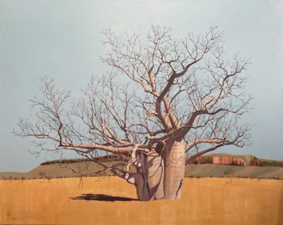 Boab - Cockburn Ranges - Peter Moir