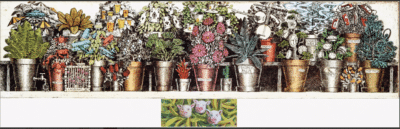 Botanicus Familiaris - Leon Pericles