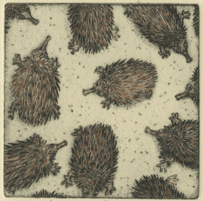 Echidnas: Congregated Images - Leon Pericles
