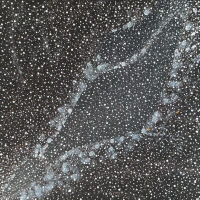 Emu Dreaming on a clear, stary night - Cecil Mosquito