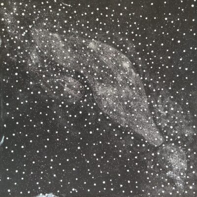 Emu Dreaming on a clear, stary night - Cecil Mosquito