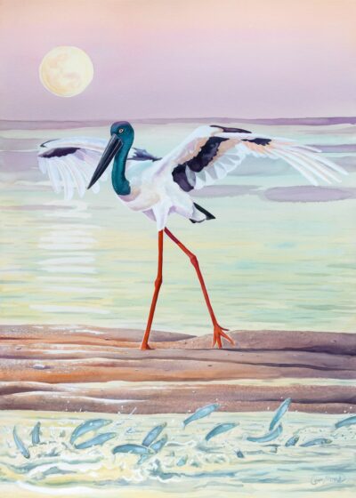 Herding the Moon - Tom Montgomery