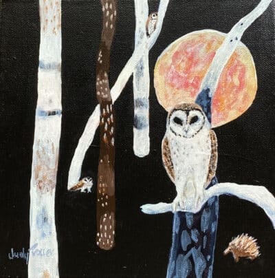 Nightowls - Judy Prosser