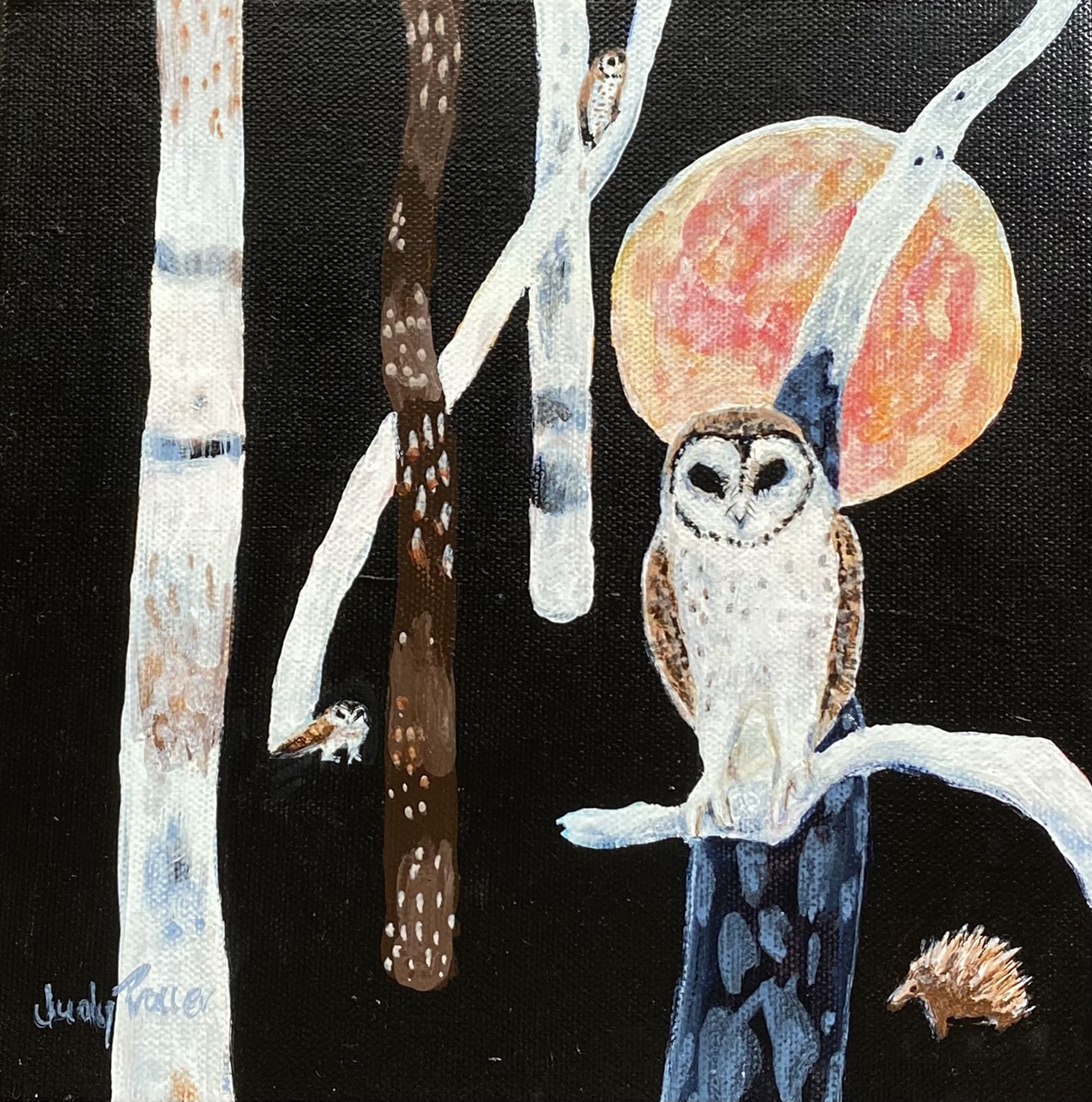 Nightowls - Judy Prosser