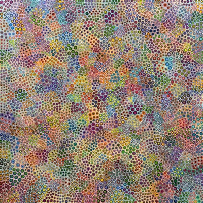 Desert Wildflowers - Renee Clifton