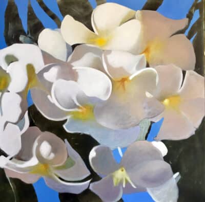 Frangipani - Ellis Pearson