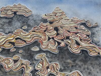 Journey Through Purnululu - Jeanne Barnes