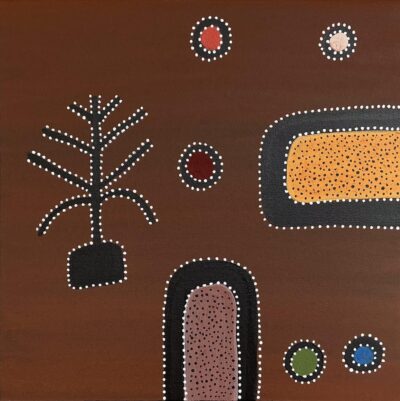 Bow River, Dirriyan - Kathy Ramsay