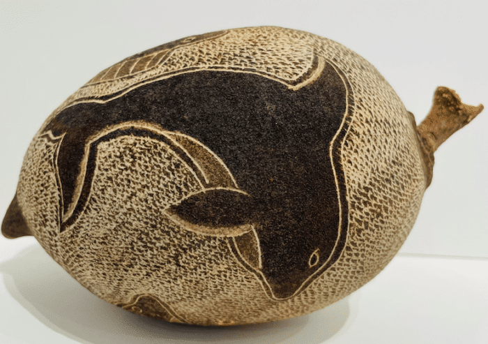 Carved Boab Nut - Marine Animals