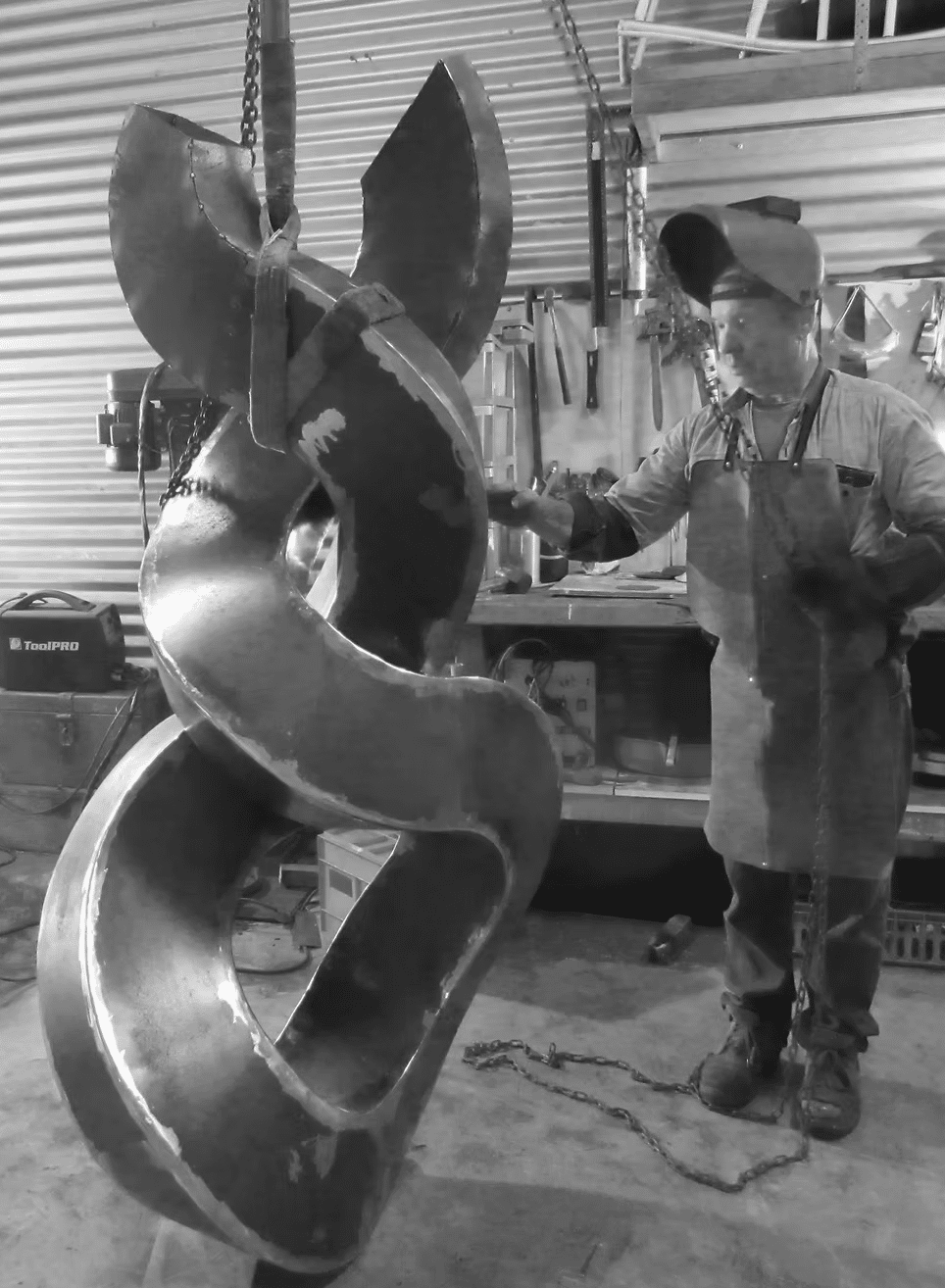 Brolga - Wayne Smith - Image 2