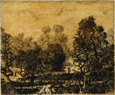Swamp - Leon Pericles
