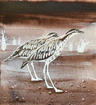 Willaroo Country - Judy Prosser