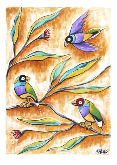 Gouldian Finch original - Emma Blyth