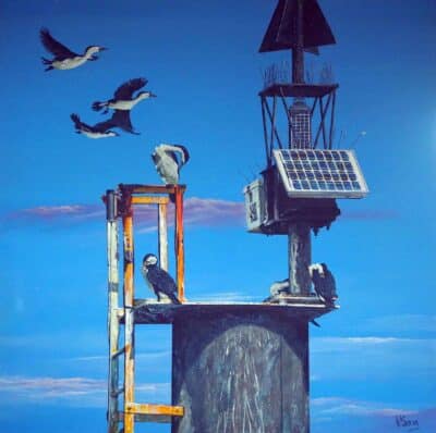 The Feather - Vicki Sangster